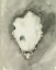 Picture of NEUTRAL OYSTER SHELL I
