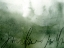Picture of DEEP SEA SCRIBBLE III