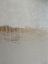 Picture of TRANQUILITY 2