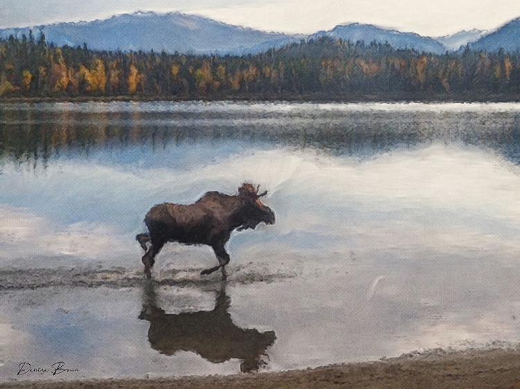 Picture of MOOSE