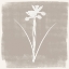 Picture of SOPHISTICATED FLORAL 4