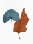 Picture of BLUE FAN 2