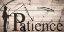Picture of PATIENCE FISHING