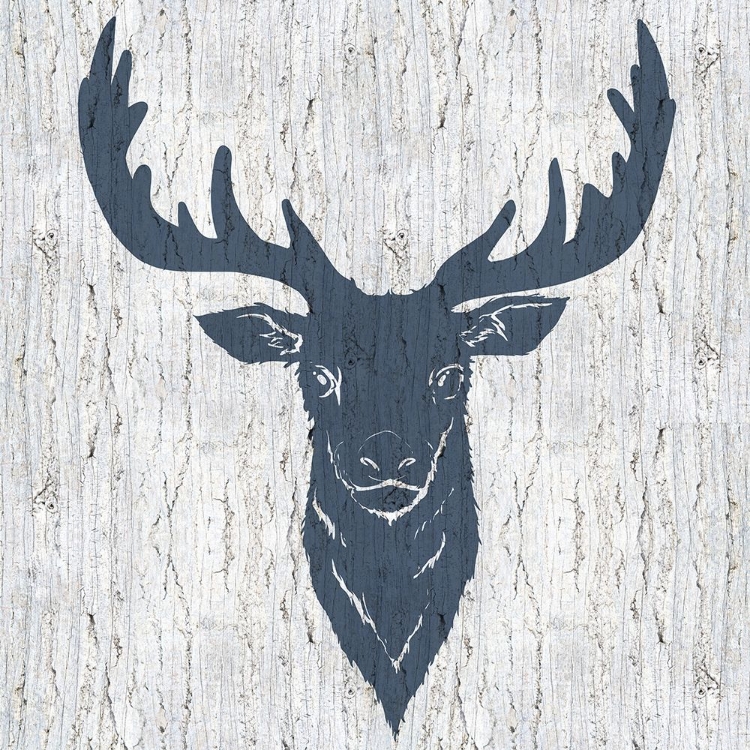 Picture of STAG