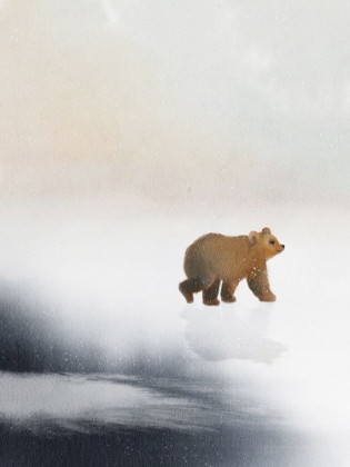 Picture of BEAR ON ICE