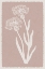 Picture of PASTEL FLORALS
