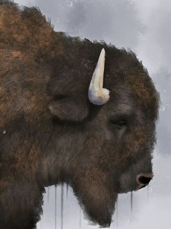 Picture of DRIPPING BISON