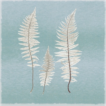 Picture of SPRING EDEN FERN