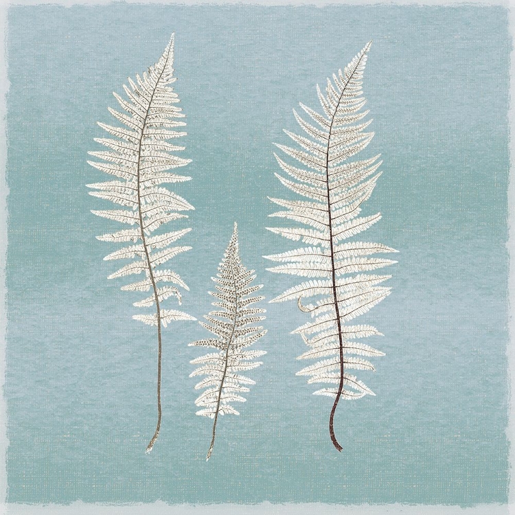 Picture of SPRING EDEN FERN