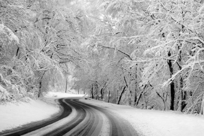 Picture of ROCK CREEK PARK-WASHINGTON-D.C.