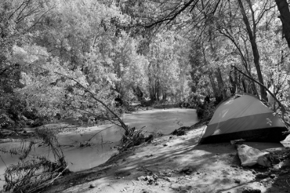 Picture of HAVASU CREEK CAMPGROUND-GRAND CANYON NATIONAL PARK