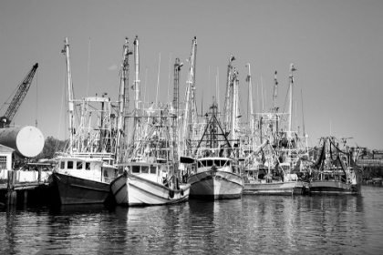 Picture of BAYOU LA BATRE-ALABAMA USA