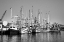 Picture of BAYOU LA BATRE-ALABAMA USA