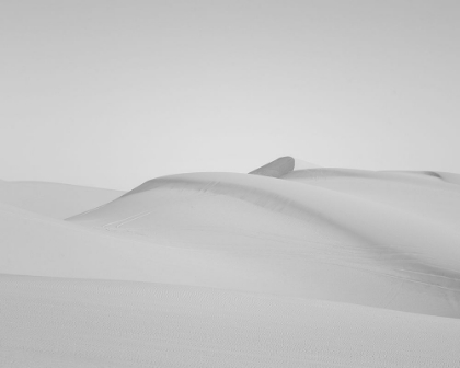 Picture of SAND DUNES IN SOUTHERN CALIFORNIA