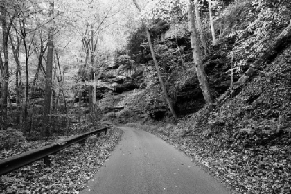 Picture of PICTURESQUE ROAD TO NUTTALLBURG