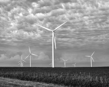 Picture of WIND FARMS-AMERICAN PRAIRIE FARMS-IOWA