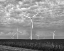 Picture of WIND FARMS-AMERICAN PRAIRIE FARMS-IOWA