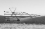 Picture of NEW MEXICO BORDER IN HUDSPETH COUNTY-TEXAS