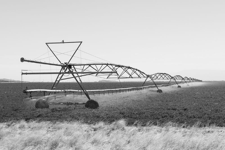 Picture of NEW MEXICO BORDER IN HUDSPETH COUNTY-TEXAS