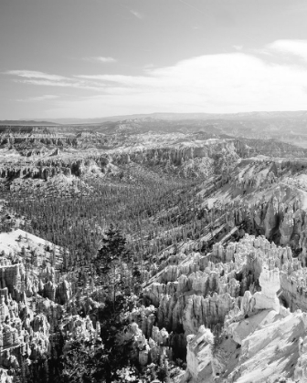 Picture of BRYCE CANYON NATIONAL PARK-UTAH