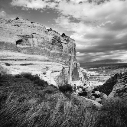 Picture of COLORADO NATIONAL MONUMENT