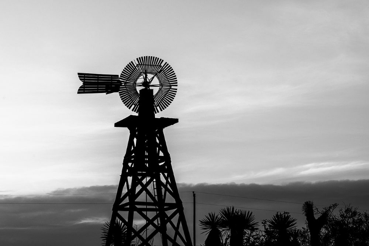 Picture of SILHOUETTED WINDMILL IN TEXAS