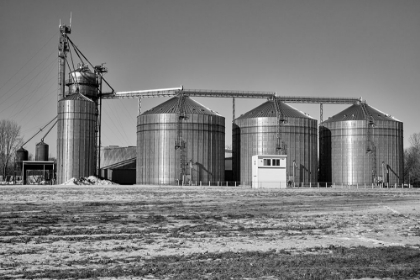 Picture of A ROW OF METAL GRAIN SILOS IN MICHIGAN USA