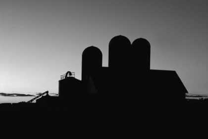 Picture of DAIRY BARN-BRUCE-WISCONSIN