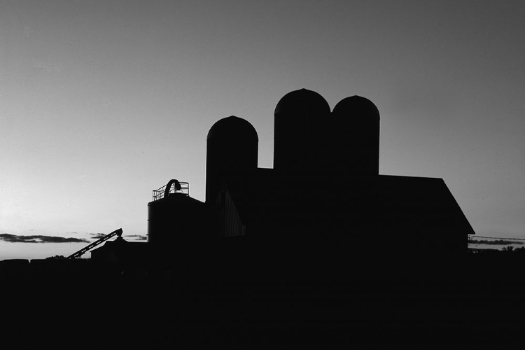 Picture of DAIRY BARN-BRUCE-WISCONSIN