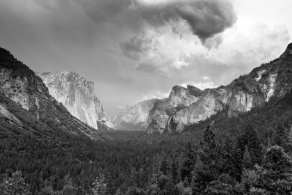 Picture of VALLEY AT YOSEMITE NATIONAL PARK