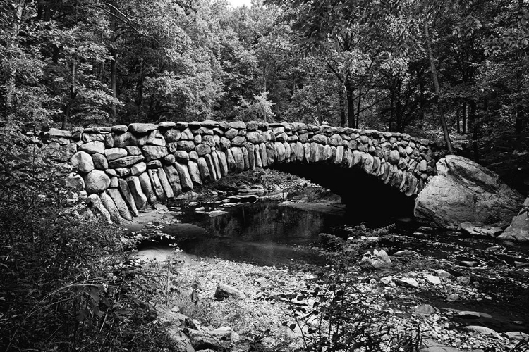 Picture of ROCK CREEK PARK-NW-WASHINGTON-D.C.