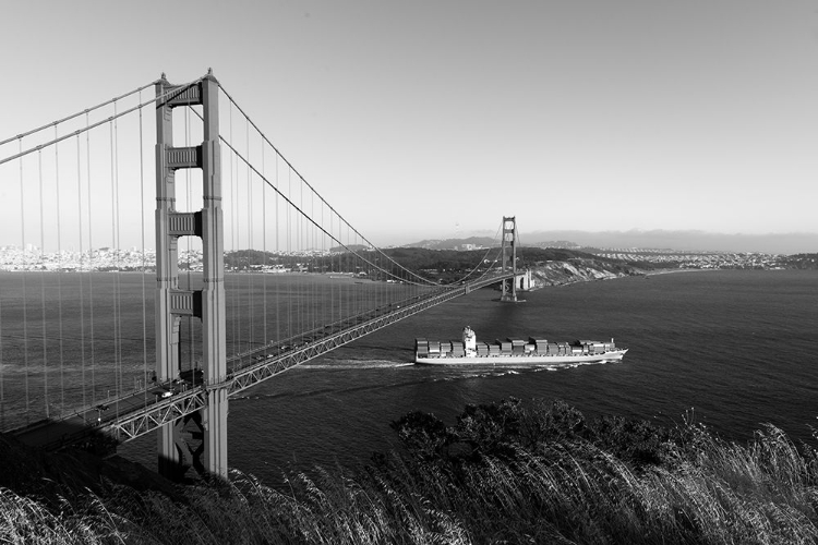 Picture of THE GOLDEN GATE BRIDGE