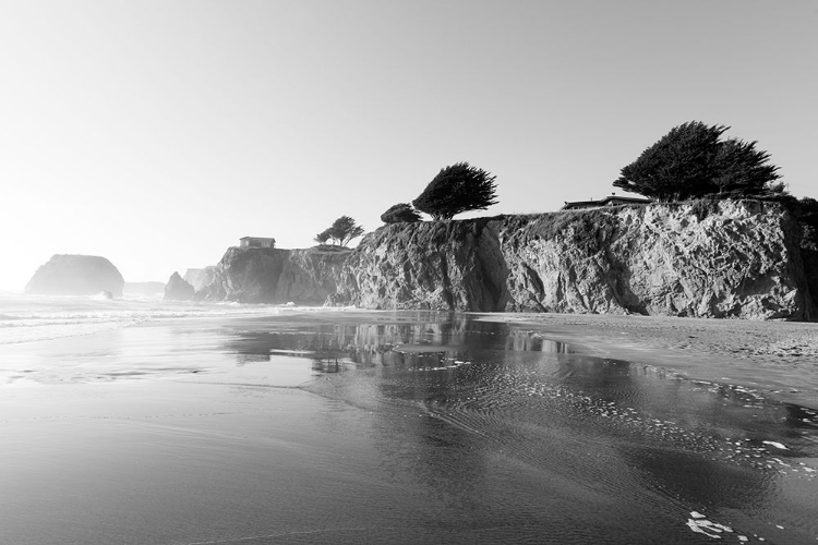 Picture of ROUTE 1 ALONG THE PACIFIC OCEAN IN NORTHERN CALIFORNIA