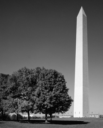 Picture of THE WASHINTON MONUMENT IN WASHINGTON-D.C.