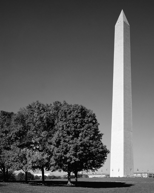 Picture of THE WASHINTON MONUMENT IN WASHINGTON-D.C.