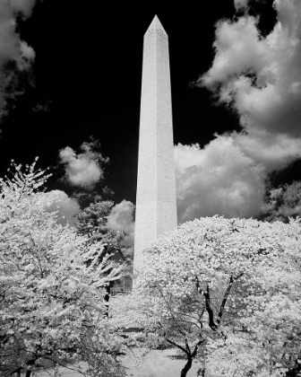 Picture of WASHINGTON MONUMENT-WASHINGTON D.C.