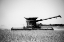 Picture of A HARVESTING OPERATION CARROLL COUNTY-INDIANA