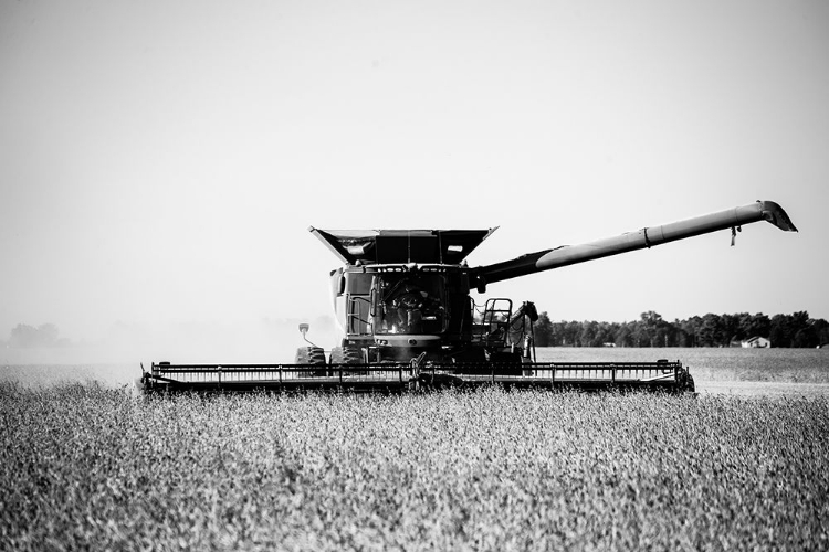 Picture of A HARVESTING OPERATION CARROLL COUNTY-INDIANA