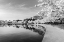 Picture of POTOMAC RIVER TIDAL BASIN DURING WASHINGTONS SPRING CHERRY BLOSSOM FESTIVAL
