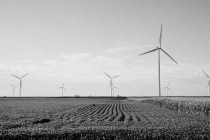 Picture of WIND TURBINES IN RURAL MISSOURI