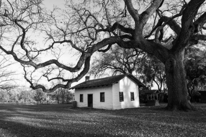 Picture of WILLIAM B. IDE ADOBE STATE HISTORIC PARK IN RED BLUFF-CALIFORNIA