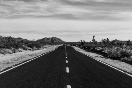 Picture of MOJAVE NATIONAL PRESERVE IN CALIFORNIA