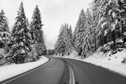 Picture of WINTER WONDERLAND ALONG CALIFORNIA HIGHWAY 36