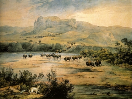 Picture of LANDSCAPE WITH BUFFALO ON THE UPPER MISSOURI
