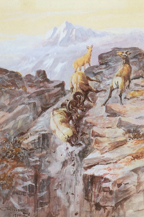 Picture of BIG HORN SHEEP