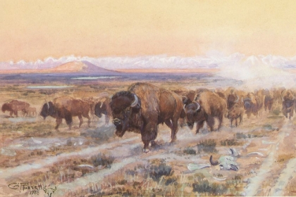 Picture of THE BISON TRAIL