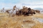 Picture of THE BUFFALO HUNT