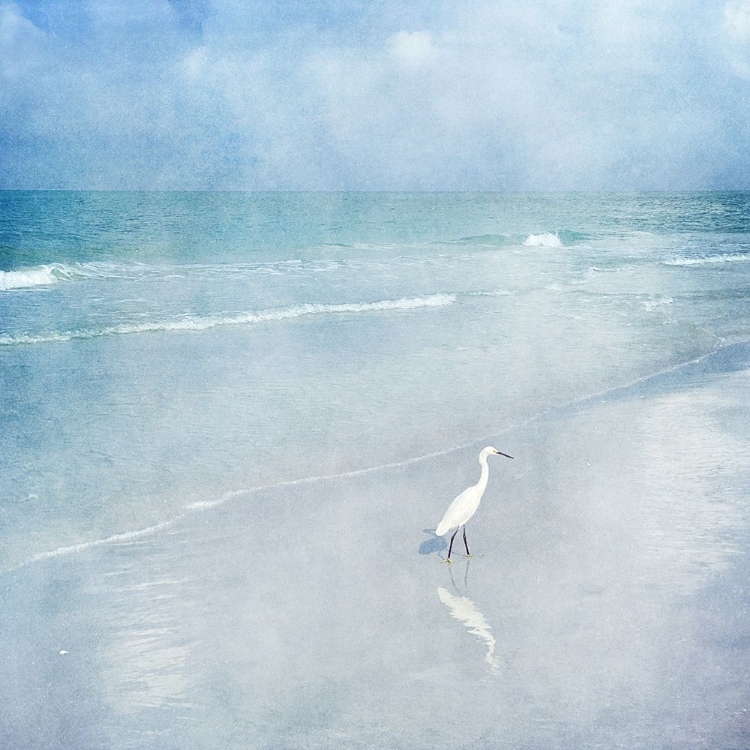 Picture of COASTAL BEACH WATERCOLOR  LANDSCAPE EGRET SEA BIRD II