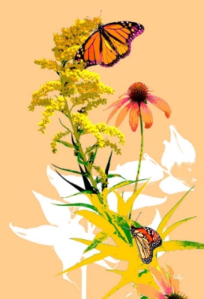 Picture of MONARCHS ON GOLDEN ROD I