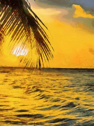 Picture of SUNSET IN TROPICS IV